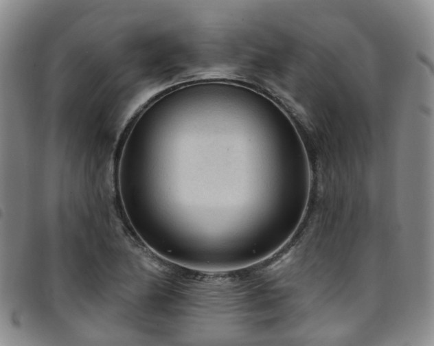 X0000097751174200803141550