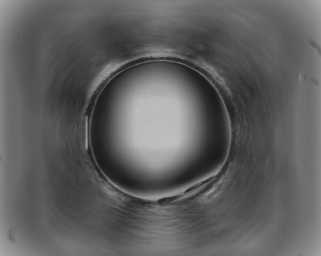 X0000097751175200803141550