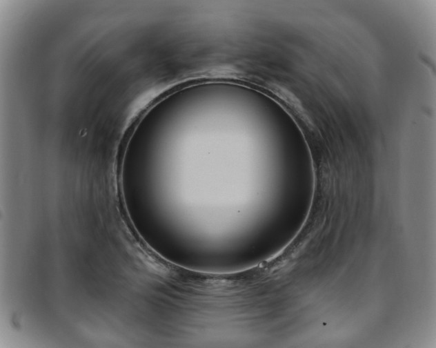 X0000097751176200803141550