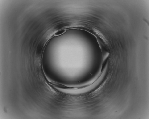 X0000097751177200803141550