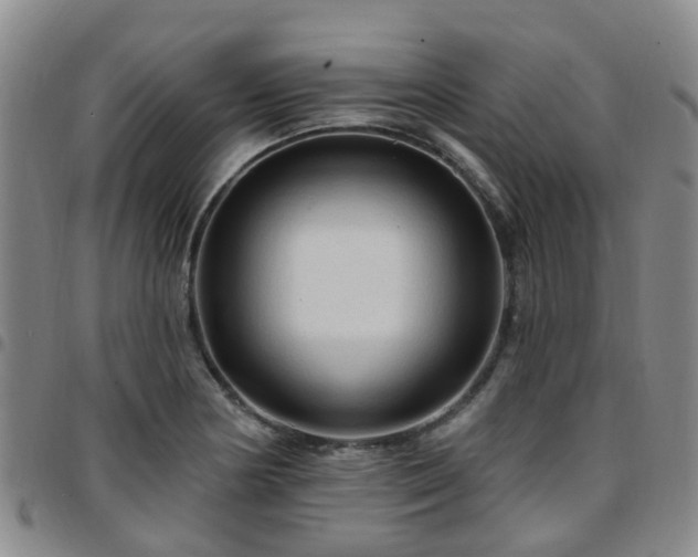 X0000097751178200803141550