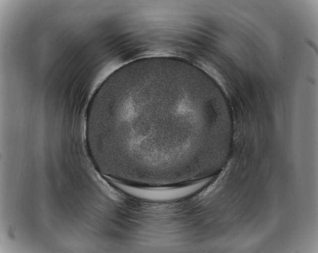 X0000097751179200803141550