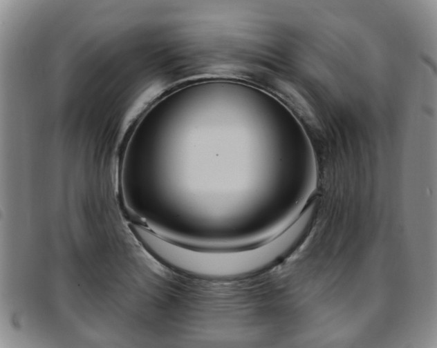 X0000097751180200803141550