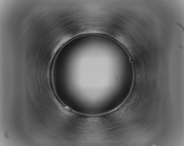 X0000097751181200803141550