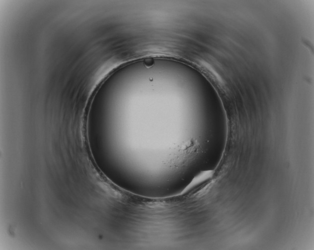 X0000097751182200803141550