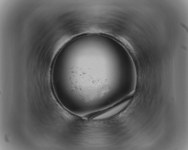 X0000097751183200803141550