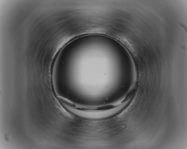 X0000097751184200803141550