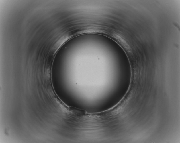 X0000097751185200803141550