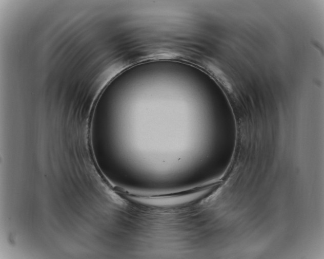 X0000097751186200803141550