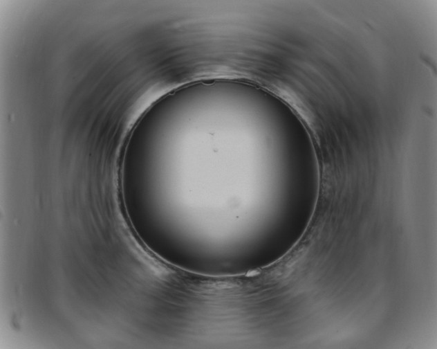 X0000097751187200803141550