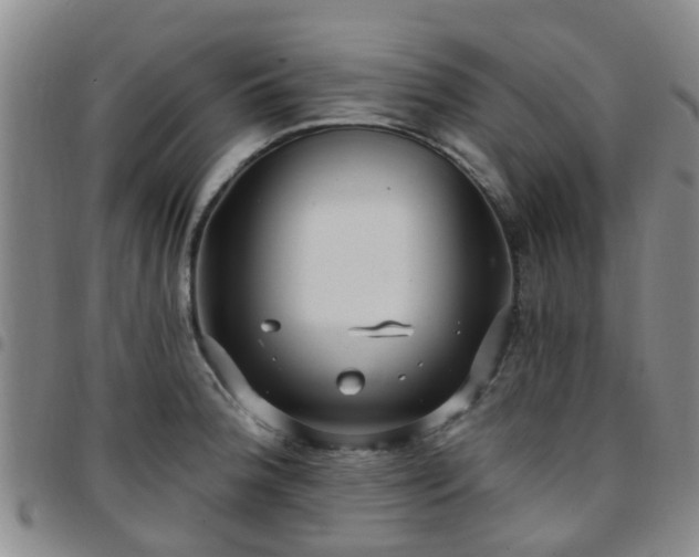 X0000097751188200803141550