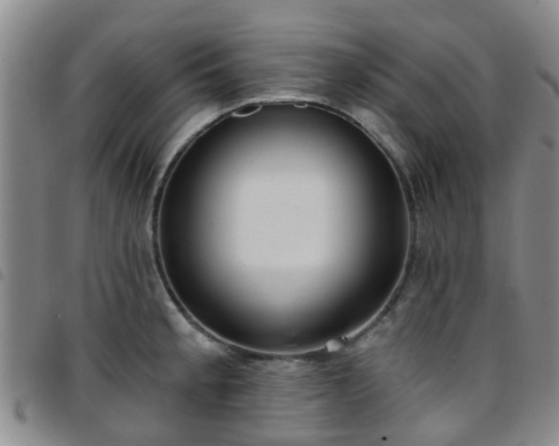 X0000097751189200803141550