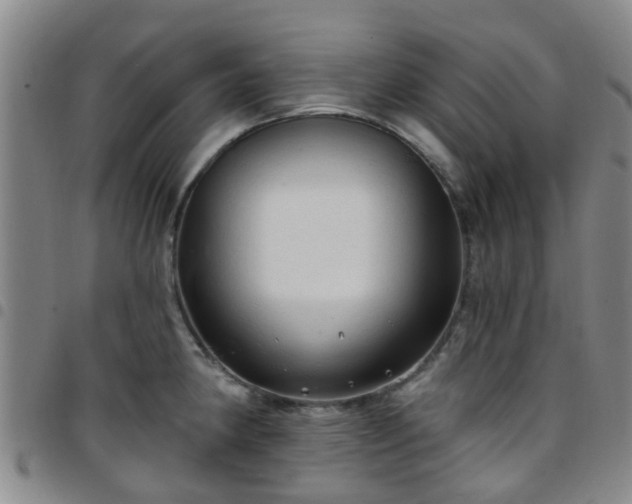 X0000097751190200803141550