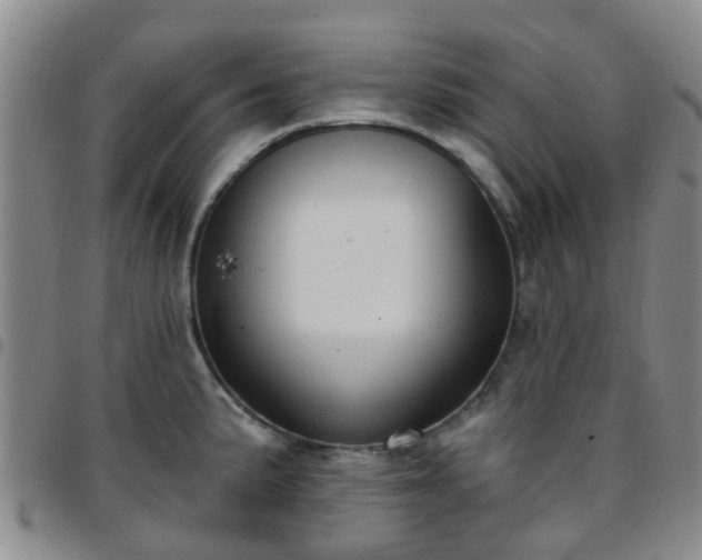 X0000097751191200803141550