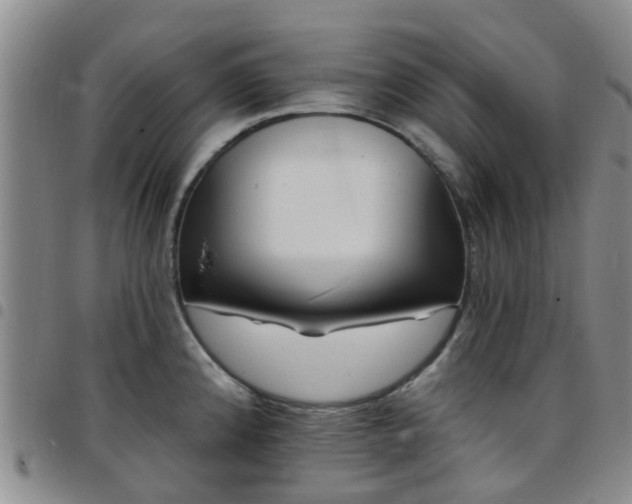 X0000097751192200803141550