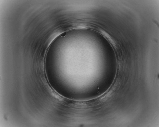 X0000097751194200803141550