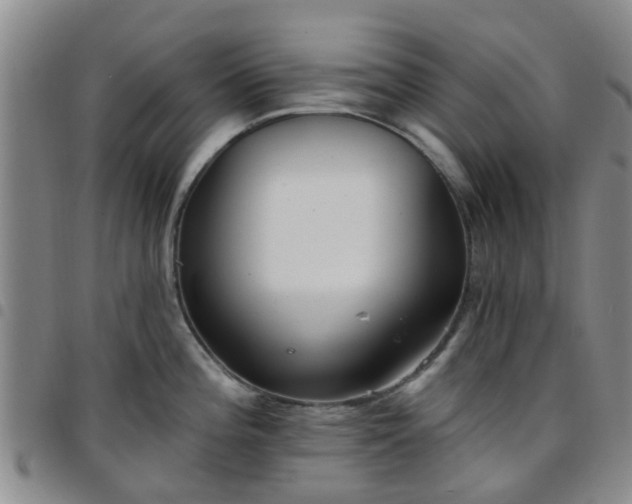 X0000097751196200803141550