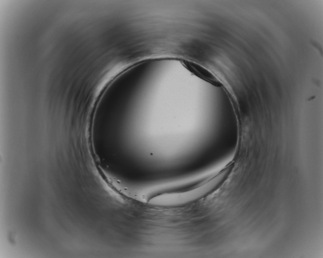 X0000097751197200803141550