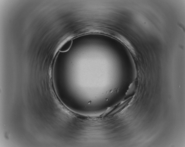 X0000097751198200803141550