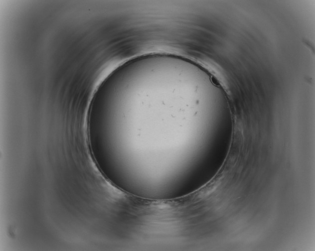 X0000097751199200803141550