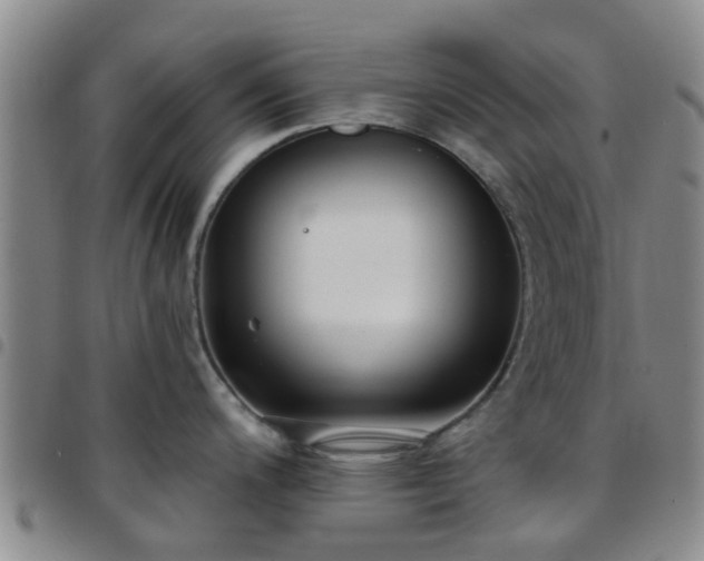 X0000097751200200803141550