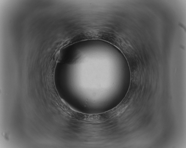 X0000097751201200803141549