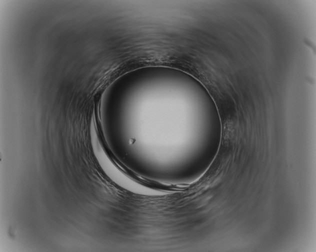 X0000097751202200803141549