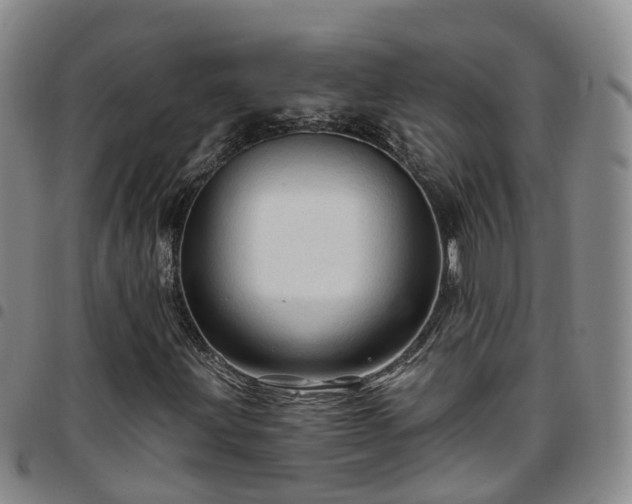 X0000097751203200803141549