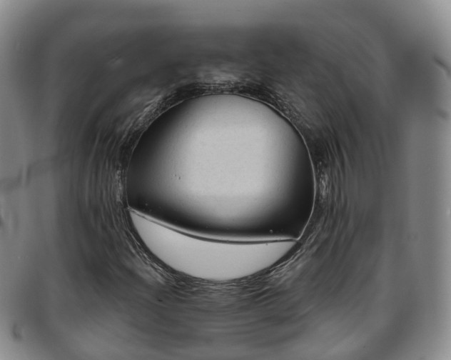 X0000097751204200803141549