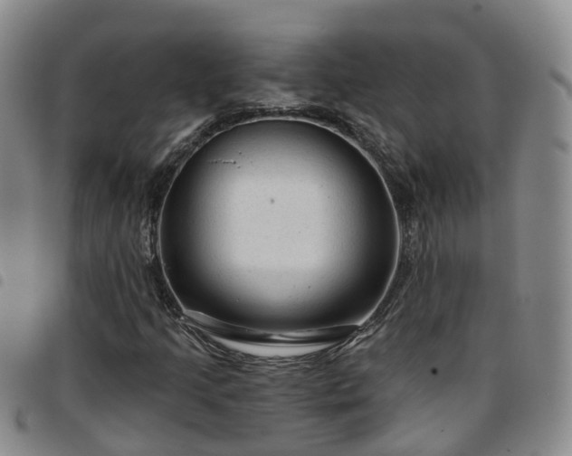 X0000097751205200803141549