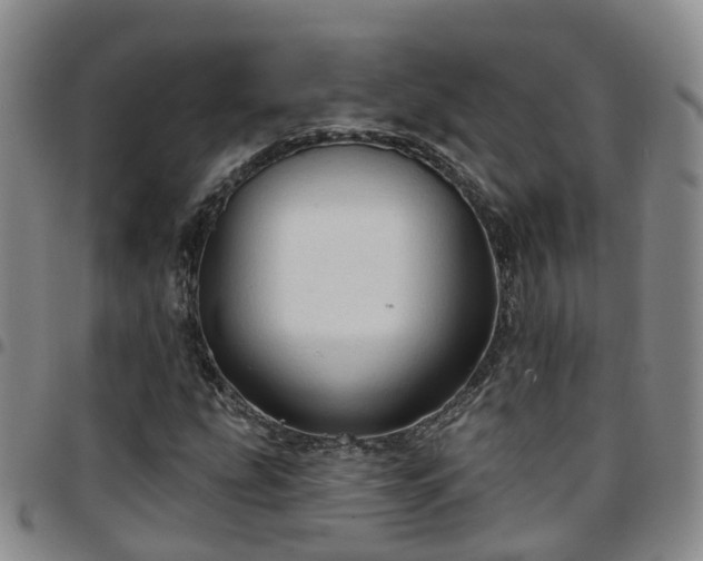 X0000097751207200803141549