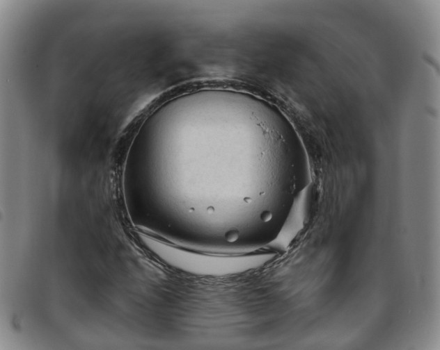 X0000097751208200803141549