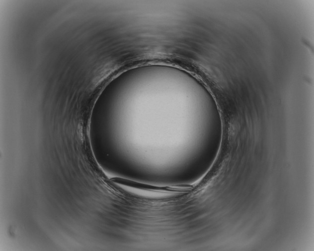 X0000097751209200803141549