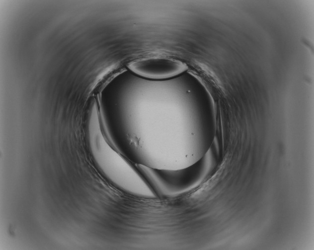 X0000097751210200803141549