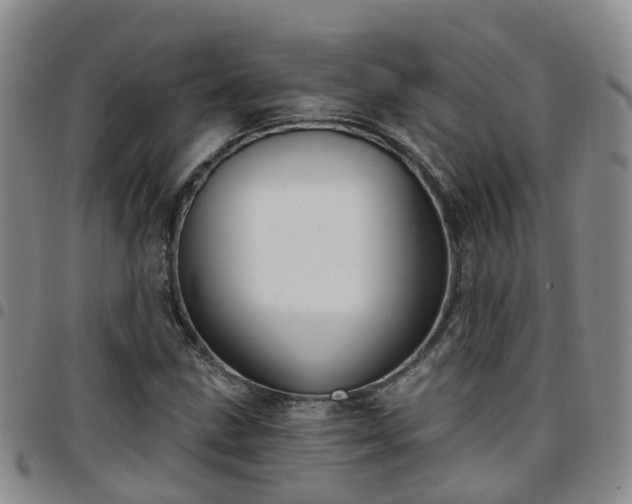 X0000097751211200803141549