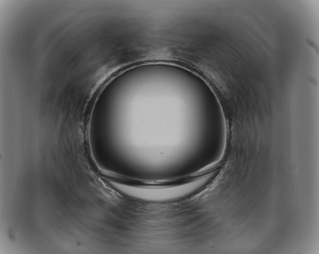 X0000097751212200803141549