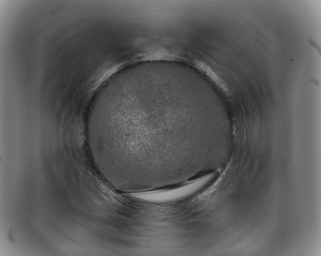 X0000097751213200803141549