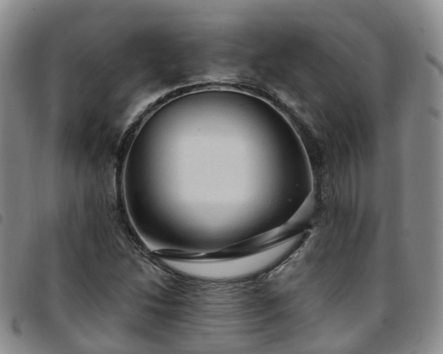 X0000097751214200803141549