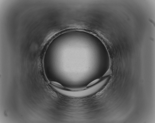 X0000097751215200803141549