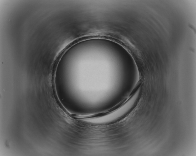 X0000097751216200803141549