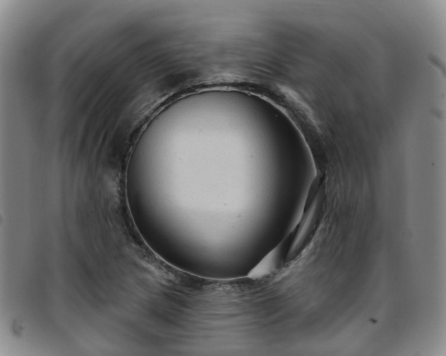 X0000097751217200803141549