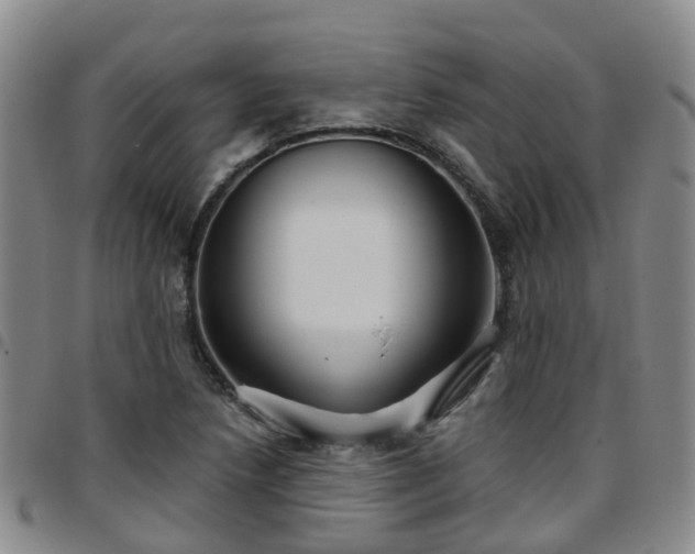 X0000097751218200803141549