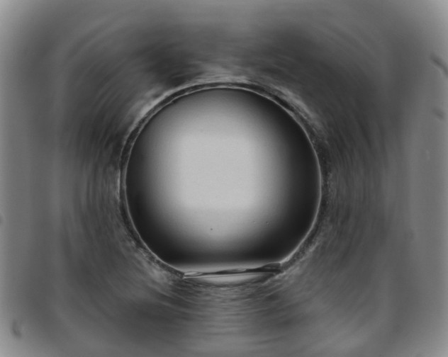 X0000097751220200803141549