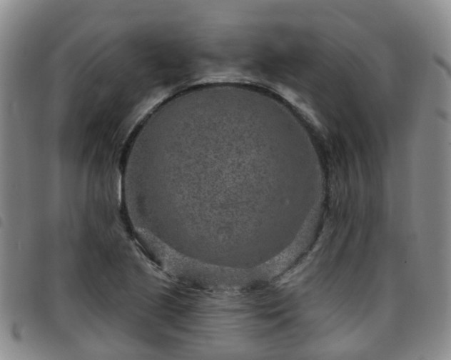 X0000097751221200803141549