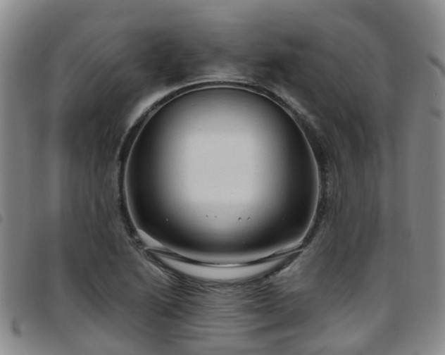 X0000097751222200803141549