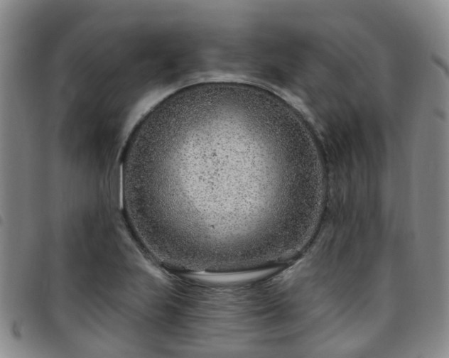 X0000097751223200803141549