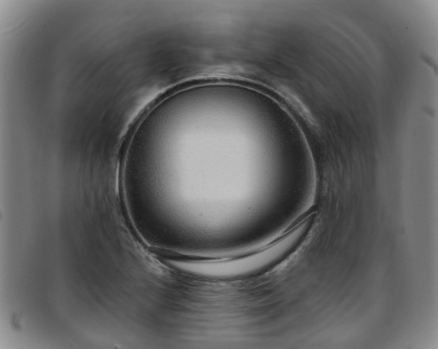 X0000097751224200803141549