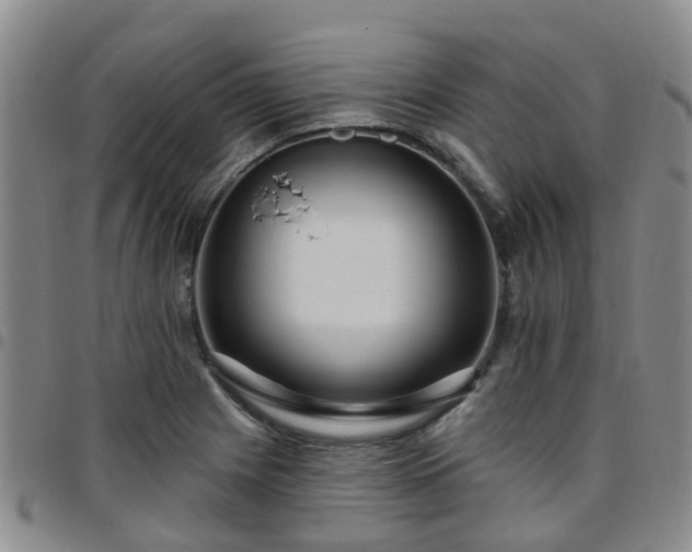 X0000097751225200803141549