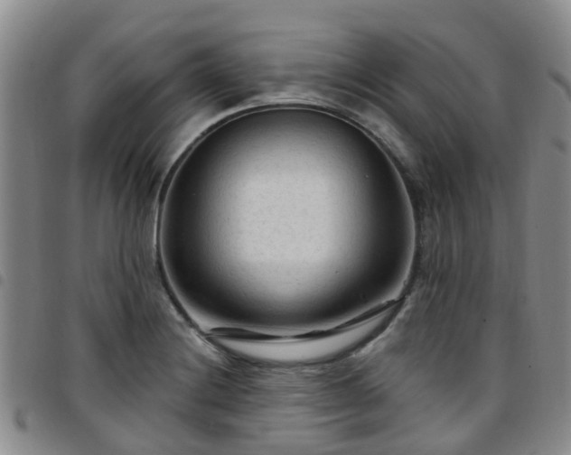 X0000097751228200803141549