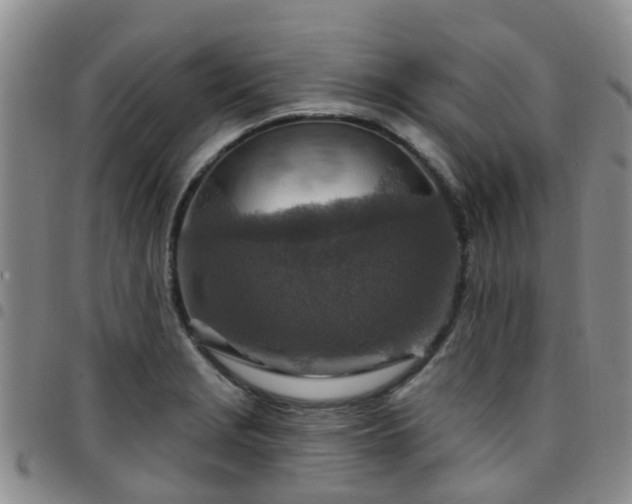 X0000097751229200803141549